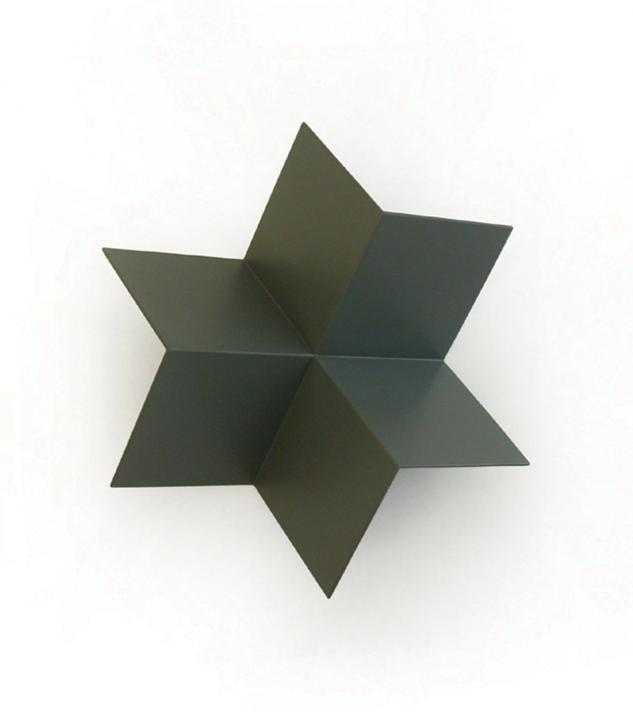 coque-etoile.jpg