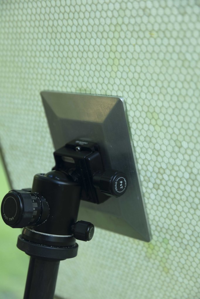 G4A6104-BD.jpg